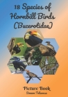 18 Species of Hornbill Birds (Bucerotidae) Picture Book By Simeon Toluwase Cover Image