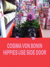 Cosima Von Bonin: Hippies Use Side Door: The Year 2014 Has Lost the Plot Cover Image