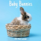 Baby Bunnies 2021 Wall Calendar: Baby Bunnies 2021 Calendar, 18 Months. By Wall Calendar 2021-2022 Cover Image
