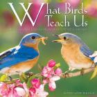 What Birds Teach Us Cover Image