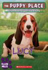 The Puppy Place #27: Lucy By Ellen Miles Cover Image