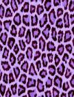 Purple Leopard Print Notebook: 8.5 X 11 202 College Ruled Pages By College Notebooks Cover Image