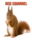 Red Squirrel: Amazing Facts about Red Squirrel Cover Image
