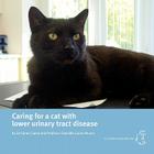 Caring for a cat with lower urinary tract disease By Sarah Caney, Danièlle Gunn-Moore Cover Image