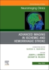 Advanced Imaging in Ischemic and Hemorrhagic Stroke, an Issue of Neuroimaging Clinics of North America: Volume 34-2 (Clinics: Radiology #34) Cover Image
