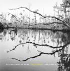 An Unflinching Look: Elegy for Wetlands By Benjamin Dimmitt, Susan Cerulean (Contribution by), Alexa Dilworth (Contribution by) Cover Image