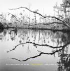 An Unflinching Look: Elegy for Wetlands Cover Image