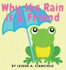 Why the Rain is a Friend Cover Image