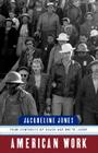 American Work: Four Centuries of Black and White Labor By Jacqueline Jones Cover Image