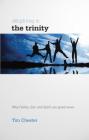 Delighting in the Trinity: Why the Father, Son and Spirit Are Good News By Tim Chester Cover Image