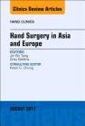 Hand Surgery in Asia and Europe, an Issue of Hand Clinics: Volume 33-3 (Clinics: Orthopedics #33) By Jin Bo Tang, Grey Giddins Cover Image