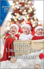 Triplets Under the Tree By Melissa Senate Cover Image