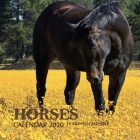 Horses Calendar 2020: 16 Month Calendar By Golden Print Cover Image