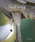 The Sentinels: Cranes of South Africa By Daniel Dolire (Photographer), David Allan Cover Image