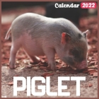 Piglet Calendar 2022: Official Baby Animals Calendar 2022, 18 Month Photo of cute Farm Animals calendar 2022, Mini Calendar By Wahlpub Kitpub Cover Image