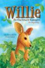 Willie the Charismatic Kangaroo By Locki Laroe, Sharon Salazar Cover Image