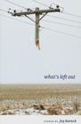 What's Left Out: Stories (Literature & Medicine) By Jay Baruch Cover Image