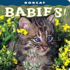 Bobcat Babies! (Babies! (Farcountry Press)) By Lisa Husar (Photographer), Mike Husar (Photographer) Cover Image
