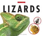 Lizards (Pet Care) By Kathryn Stevens Cover Image