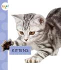 Kittens By Anastasia Suen Cover Image