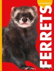 Curious about Ferrets By Alissa Thielges Cover Image