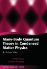 Many-Body Quantum Theory in Condensed Matter Physics: An Introduction (Oxford Graduate Texts) By Henrik Bruus, Karsten Flensberg Cover Image