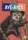 Aye-Ayes (Weird and Wonderful Animals) By Emma Bassier Cover Image