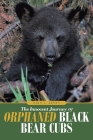The Innocent Journey of Orphaned Black Bear Cubs By Dawn L. Brown Cover Image