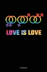 Love Is Love: Liniertes Notizbuch A5 - Homosexuell Hochzeit Gay Pride LGBT Notizbuch I Lesbisch Bisexuell Transgender Lesben CSD Ges By Lgbt Publishing Cover Image