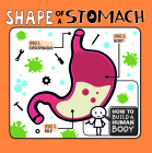 Shape of a Stomach By Kirsty Holmes Cover Image