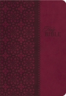 Study Bible-KJV Cover Image