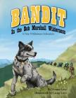 Bandit In The Bob Marshall Wilderness: A True Wilderness Adventure Cover Image