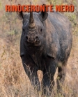 Rinoceronte nero: Immagini bellissime e fatti interessanti Libro per bambini sui Rinoceronte nero By Katie Mercer Cover Image