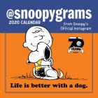 Peanuts 2020 Mini Wall Calendar: @Snoopygrams Cover Image