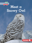Meet a Snowy Owl By Katie Peters Cover Image