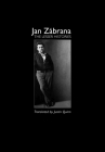 The Lesser Histories (Modern Czech Classics) By Jan Zábrana, Justin Quinn (Translated by) Cover Image