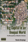 Big Capital in an Unequal World: The Micropolitics of Wealth in Pakistan (Dislocations #29) By Rosita Armytage Cover Image