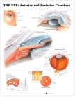 The Eye: Anterior and Posterior Chambers Cover Image