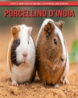 Porcellino D'India: Fatti e immagini incredibili sui Porcellino D'India Cover Image