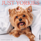 Just Yorkies 2023 Wall Calendar By Willow Creek Press Cover Image