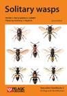 Solitary wasps By Peter F. Yeo, Sarah A. Corbet, Anthony J. Hopkins (Calligrapher) Cover Image