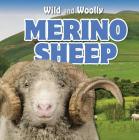 Merino Sheep (Wild and Woolly) By Rosaura Esquivel Cover Image