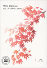 Flora Japonica: Postcard Book By Kew Royal Botanic Gardens (Editor) Cover Image