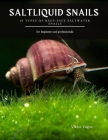 Saltliquid Snails: 10 Types of Reef-Safe Saltwater Snails Cover Image