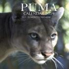 Puma Calendar 2019: 16 Month Calendar By Mason Landon Cover Image