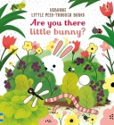 Are you there little Bunny (Little Peek-Through Books) By Sam Taplin, Emily Dove (Illustrator) Cover Image