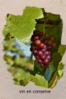 vin en conserve: Un carnet de notes de vin pour s'écrire soi-même Cover Image
