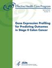 Gene Expression Profiling for Predicting Outcomes in Stage II Colon Cancer: Technical Brief Number 13 By Agency for Healthcare Resea And Quality, U. S. Department of Heal Human Services Cover Image