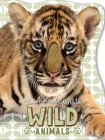 Touch and Sparkle Wild Animals By Make Believe Ideas Ltd Cover Image