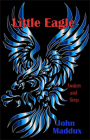 Little Eagle: Awaken and Sleep By John Maddux Cover Image